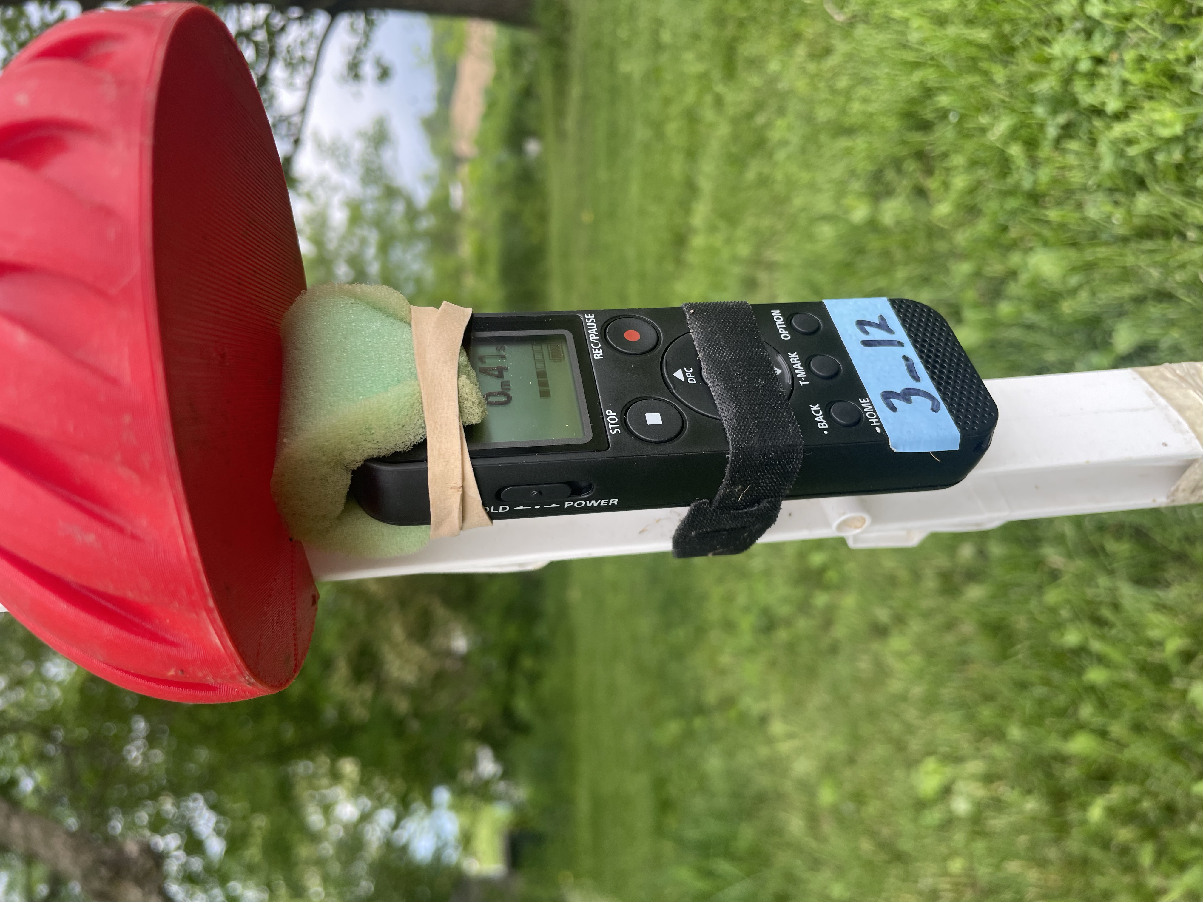 A properly deployed recorder. The label is clearly visible, the Velcro fastener does not cover the power switch, the power switch is in hold position, the wind screen is attached to the microphone, and the whole shebang is protected by the rain cover.